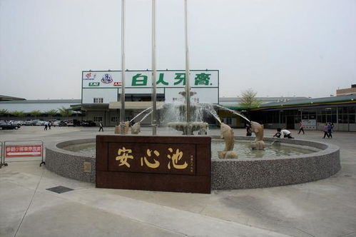 特立獨行的白人牙膏觀光工廠 工業旅游中的清新美學
