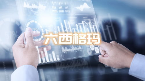 六西格瑪咨詢項目成本解析及其在網(wǎng)絡(luò)文化經(jīng)營中的應(yīng)用價值